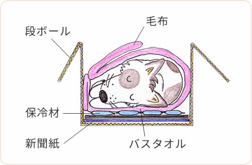 イラスト:安置方法