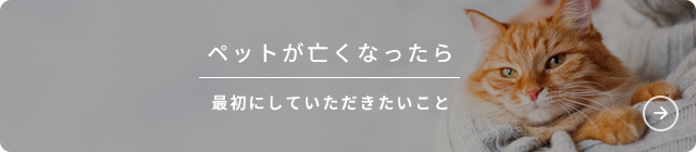 ペットが亡くなったら最初にしていただきたいこと