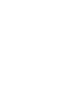 樹木葬ハナミズキ