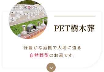 PET樹木葬