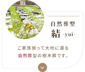結