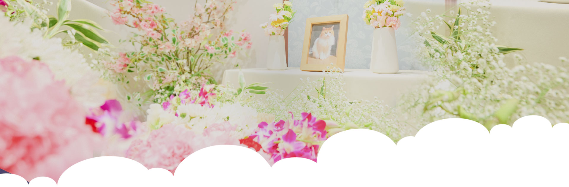 ペットセレモニーホール