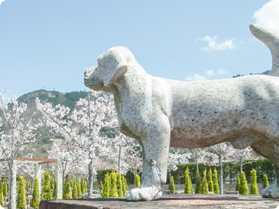 北摂池田ペット霊園の風景