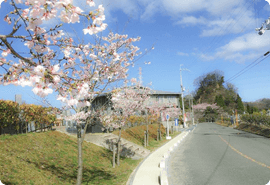大阪生駒ペット霊園 お参りの様子