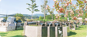 ペットと一緒に眠れるお墓