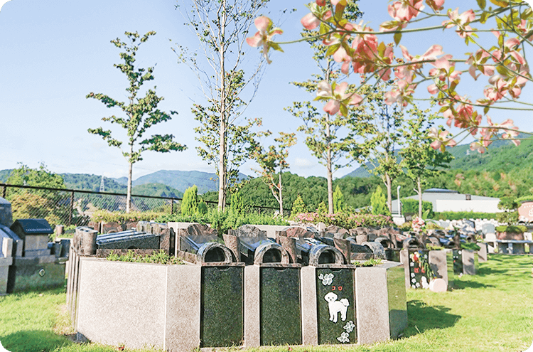 ペットと一緒に眠る樹木葬 ハナミズキ