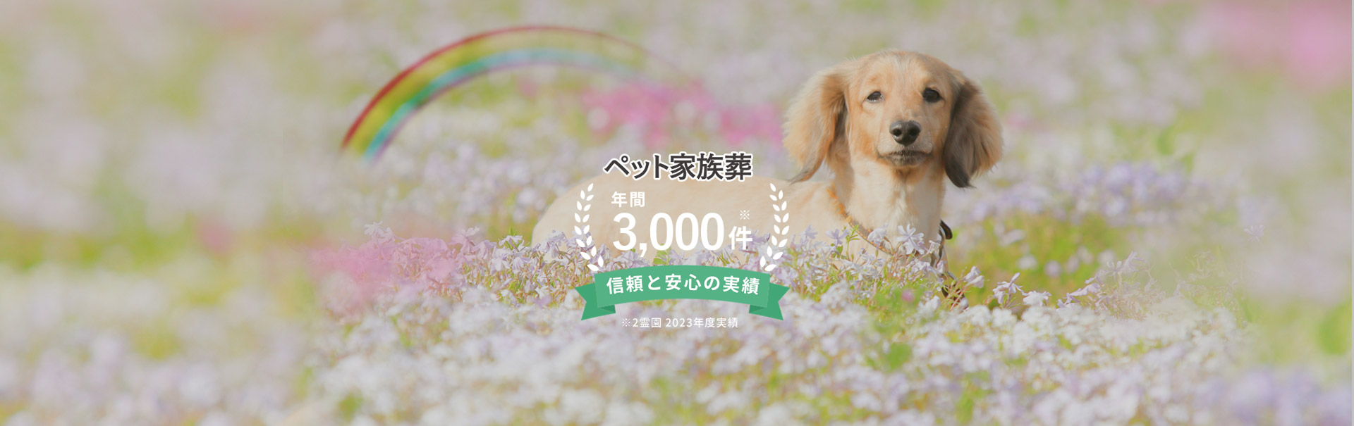 ヤシロのペット家族葬（個別火葬・葬儀）
