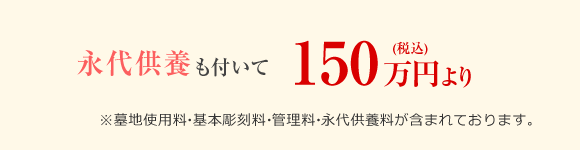 ハナミズキ1