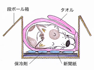 棺に必要なもの