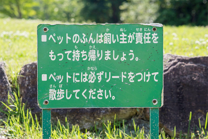 犬のお散歩マナーを覚えよう