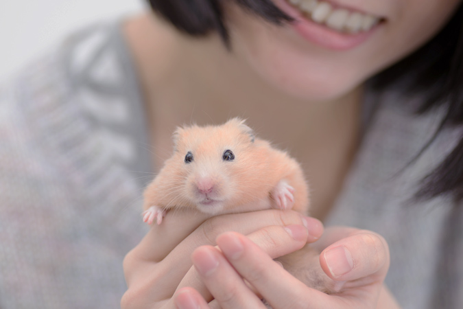 ハムスターと楽しく暮らすために