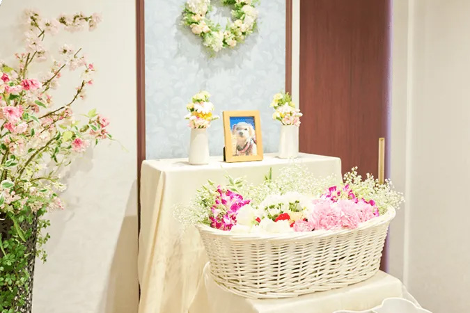 大阪府でペットのお見送り・火葬をご検討されているご家族様へ